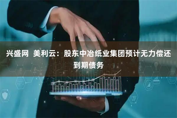 兴盛网  美利云：股东中冶纸业集团预计无力偿还到期债务