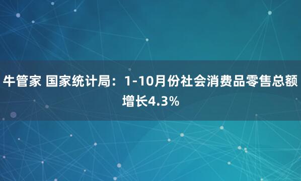牛管家 国家统计局：1-10月份社会消费品零售总额增长4.3%