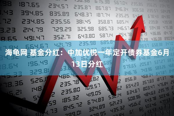 海龟网 基金分红：中加优悦一年定开债券基金6月13日分红