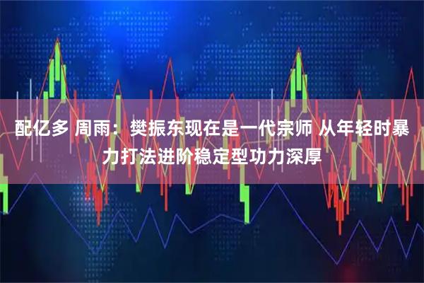 配亿多 周雨:樊振东现在是一代宗师 从年轻时暴力打法进阶稳定型功力深厚